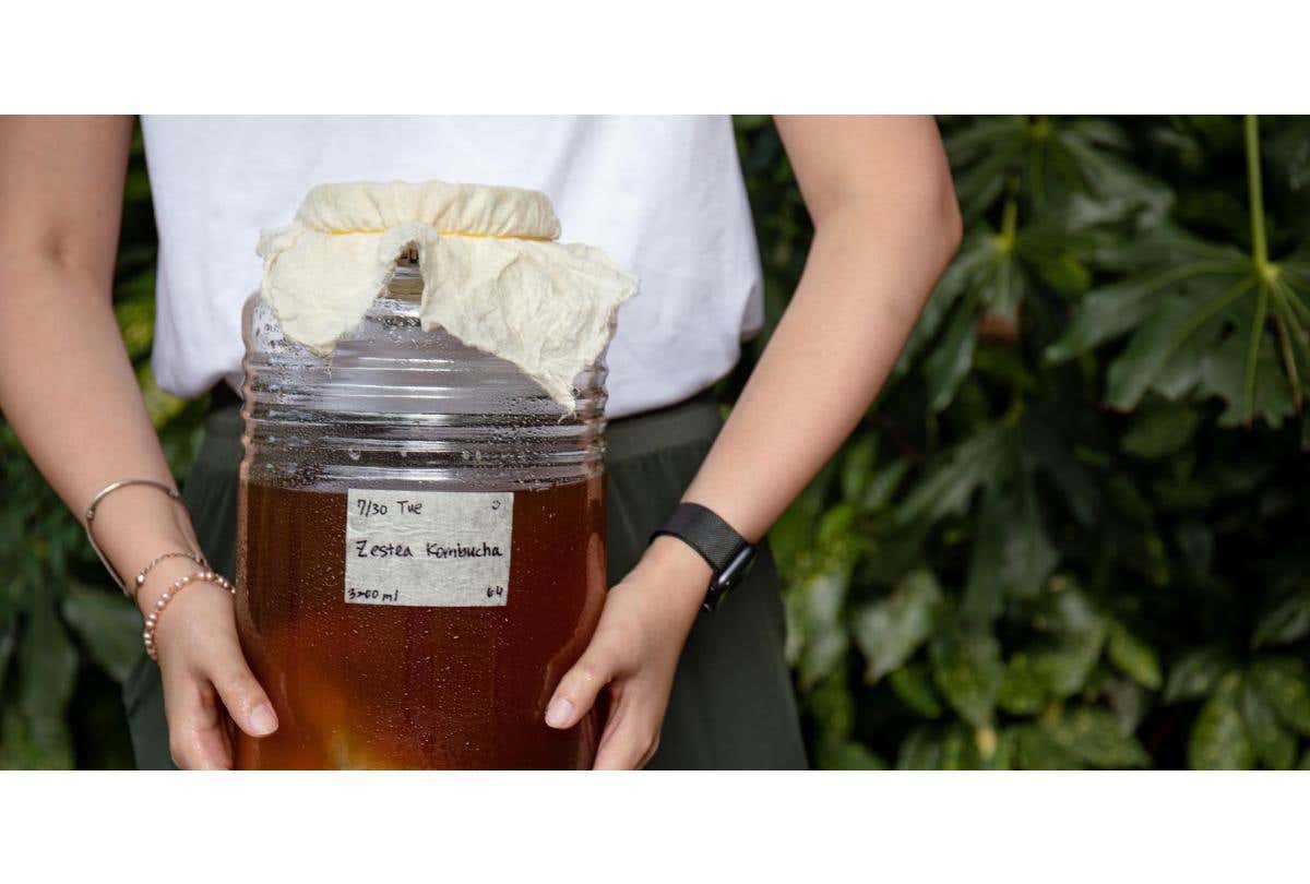 專訪Zestea Kombucha創辦人Sharon&Cindy｜喝康普茶是一種身體的保養，讓健康自然地發酵