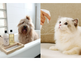 貓犬清潔小常識 ! TOP5寵物友善無毒清潔用品~最懂你的毛孩