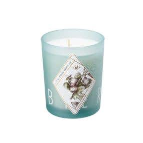 Kerzon Fragrance Candle - Figue Tropicale 植物標本系列香氛蠟燭_熱帶無花果