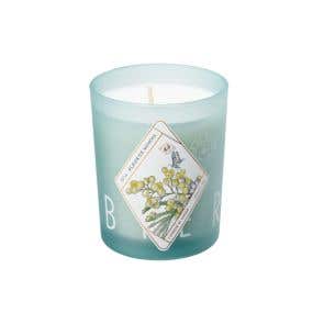 Kerzon Fragrance Candle - Fleur de Mimosa 植物標本系列香氛蠟燭_絨金合歡