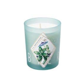 Kerzon Fragrance Candle - Menthe Poivree 植物標本系列香氛蠟燭_胡椒薄荷